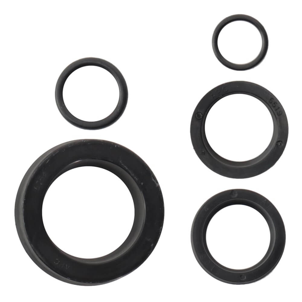 Jogo Reparo Cilindro Pulverizador
