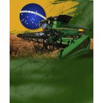 Camiseta-110313-Brasil